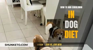 Add Cobalamin to Your Dog's Diet: A Guide