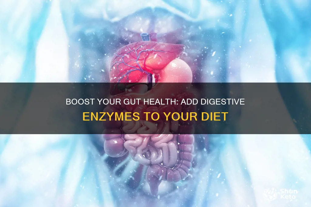 how to add digestive enzmes to diet