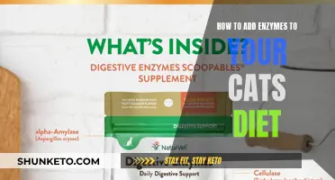 Enhancing Your Cat's Diet with Enzymes