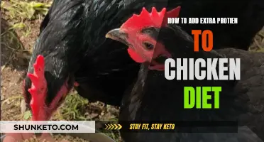 Boosting Chicken Protein Intake: Smart Dietary Strategies