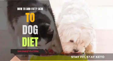 Enhancing Your Dog's Diet with Healthy Fatty Acids