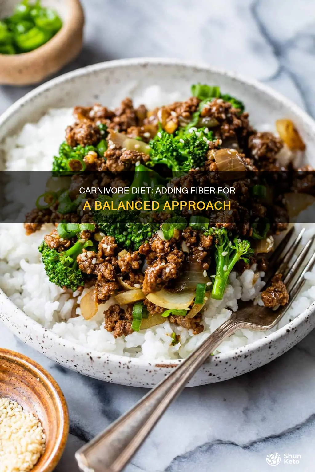 how to add fiber to carnivore diet