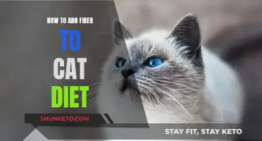 Boosting Fiber in Your Cat's Diet: A Guide