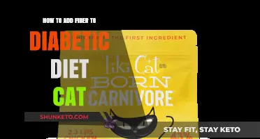 Fiber-Rich Foods for Diabetic Cats