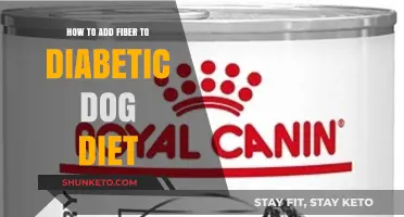 Fiber-Rich Foods for Diabetic Dogs