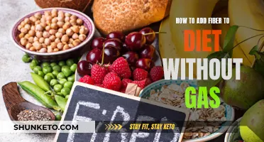 Fiber-rich Diets: Avoid Gas and Feel Great