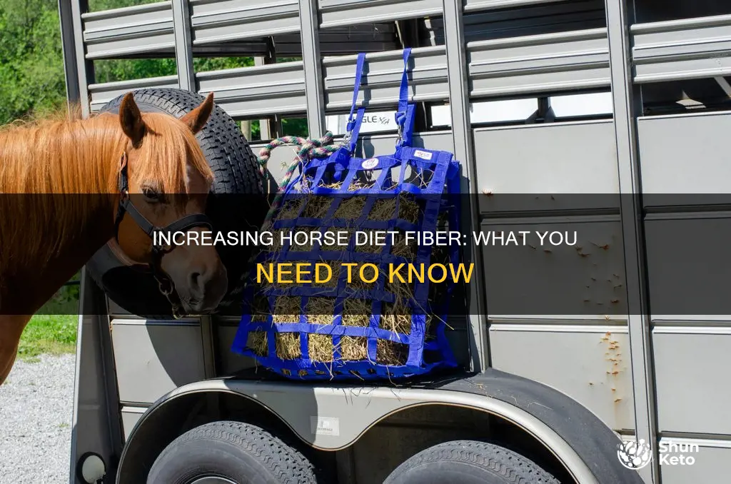 how to add fiber to horses diet