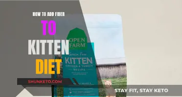 Adding Fiber to Your Kitten's Diet: A Guide