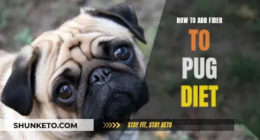 Increasing Fiber Intake: A Guide for Your Pug's Diet