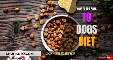 Enhancing Your Dog's Diet: The Role of Fiver