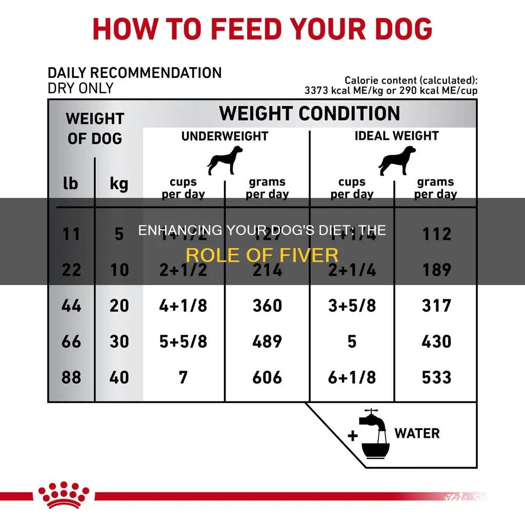 how to add fiver to dogs diet