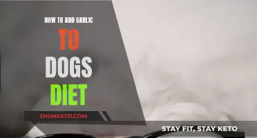 Garlic for Dogs: A Healthy Diet Addition