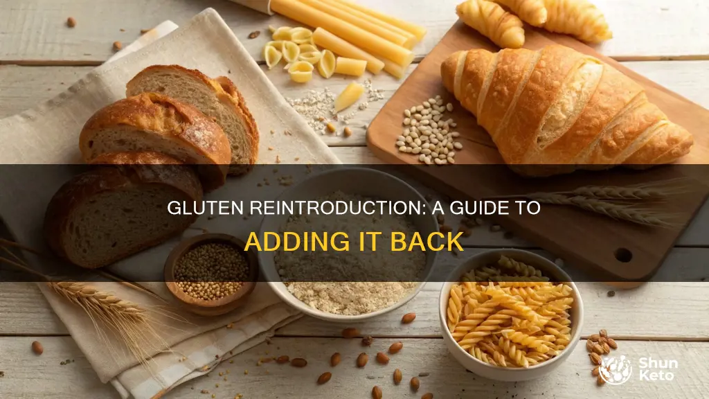 how to add gluten back into diet