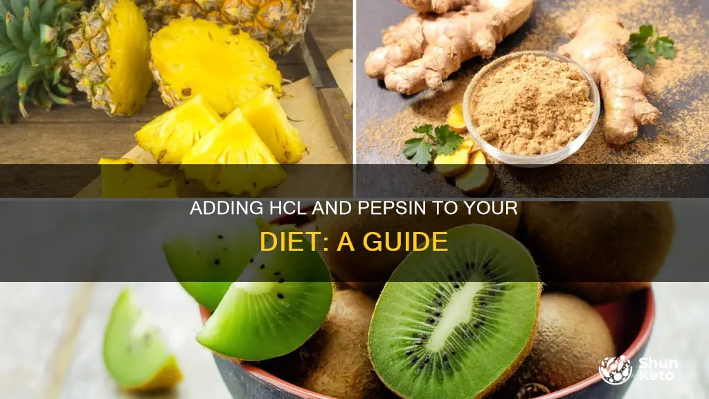 how to add hcl and pepsin to your diet