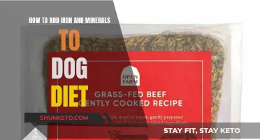 Supplementing Your Dog's Diet With Iron and Minerals