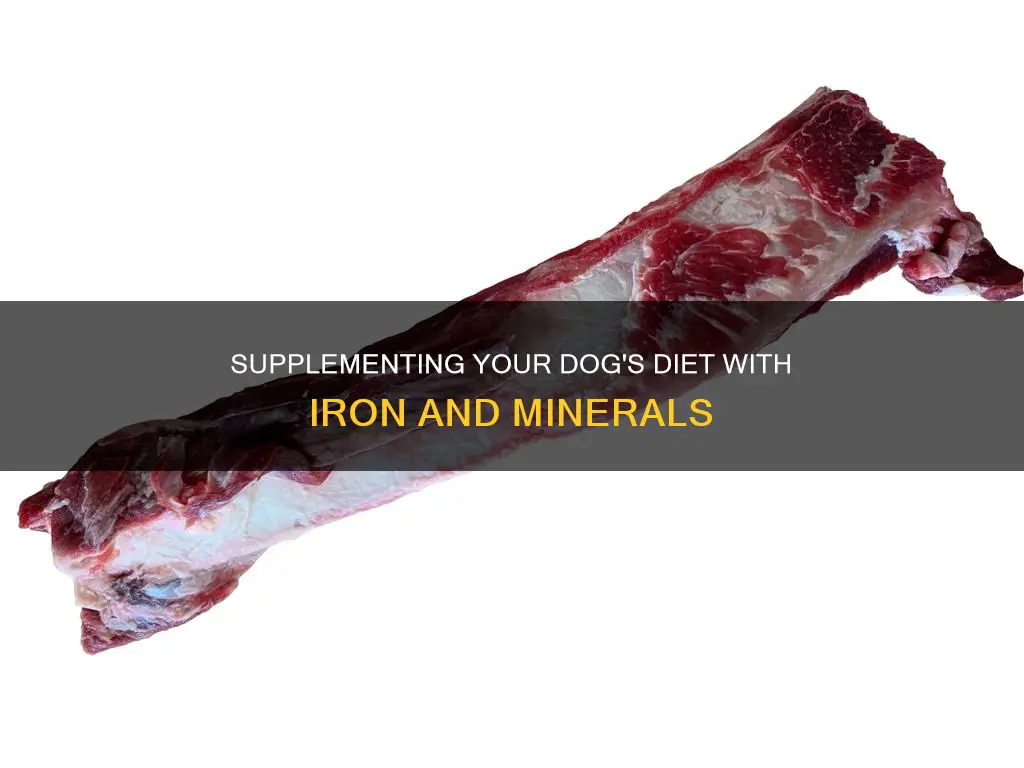 how to add iron and minerals to dog diet