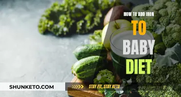 Iron-Rich Foods: A Baby's First Diet