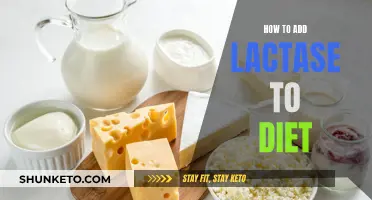 Lactase Diet: Easy Ways to Add Lactase Enzymes