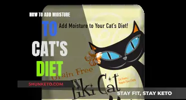 Moisture-Rich Diets: Keeping Your Cat Hydrated and Healthy