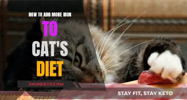 Boosting Iron Intake in Your Cat's Diet