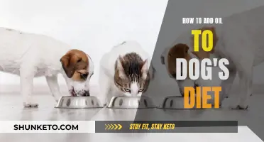 The Benefits of Adding Oil to Your Dog's Diet