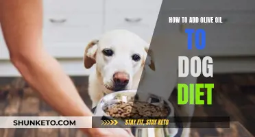 Olive Oil for Dogs: A Healthy Diet Addition