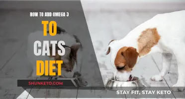 Omega 3 for Cats: A Healthy Diet Addition