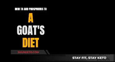 Goat Diet: Adding Phosphorus for Healthy Growth