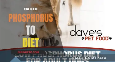 Phosphorus-Rich Foods: Enhancing Your Diet
