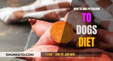 Enhancing Your Dog's Diet with Potassium-Rich Foods