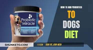 Probiotics for Dogs: Adding Good Bacteria to Your Pup's Diet