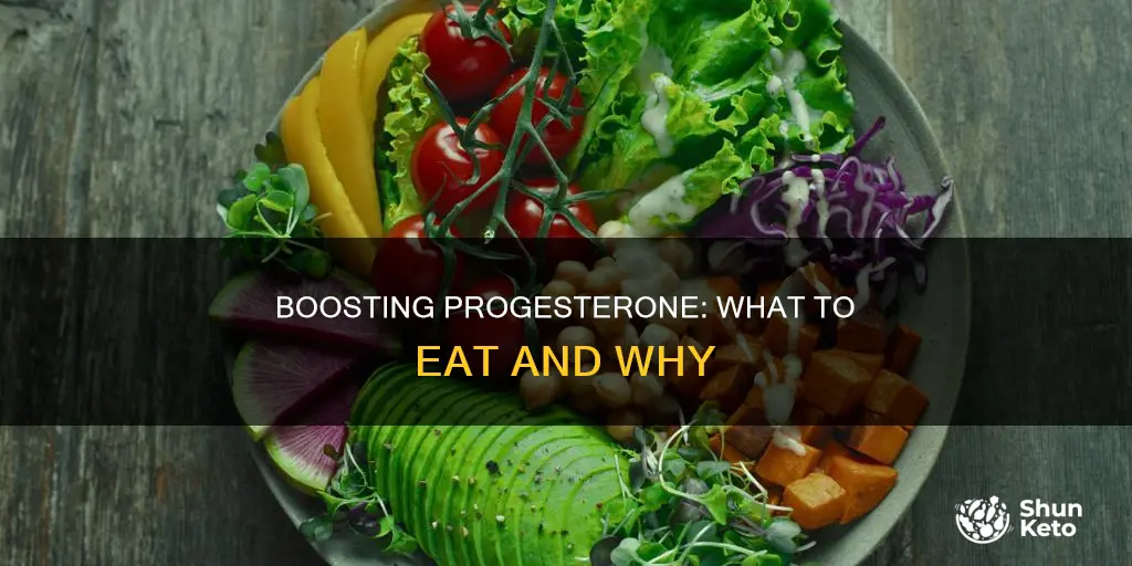 how to add progesterone to your diet