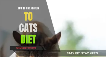 Boost Your Cat's Health: Add Protein to Their Diet
