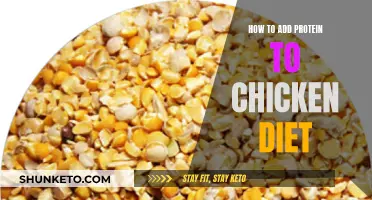 Boosting Protein in Chicken Diets: Effective Strategies
