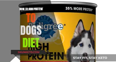 Protein Power: Boosting Your Dog's Diet