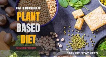 Protein-rich Plant Diet: Adding the Right Sources