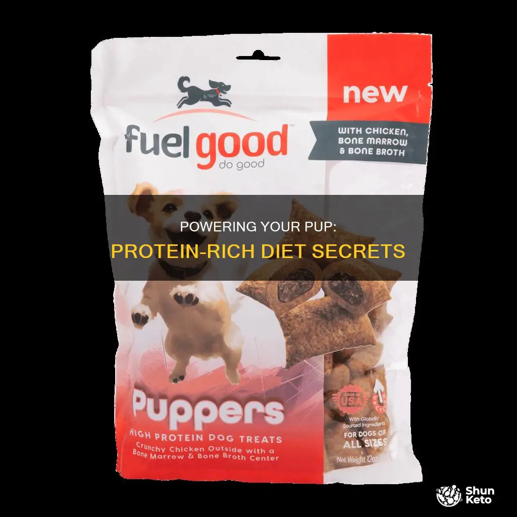 how to add protien to dog diet