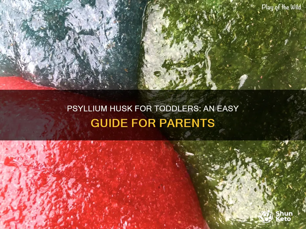 how to add psyllium husk to toddler diet