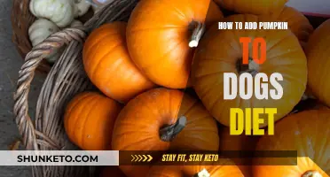Pumpkin Power: A Healthy Treat for Dogs