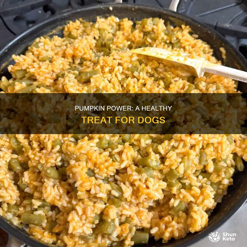 how to add pumpkin to dogs diet