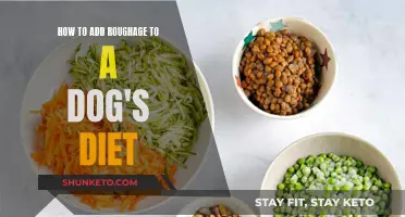 Boosting Your Dog's Diet with Roughage: What You Need to Know