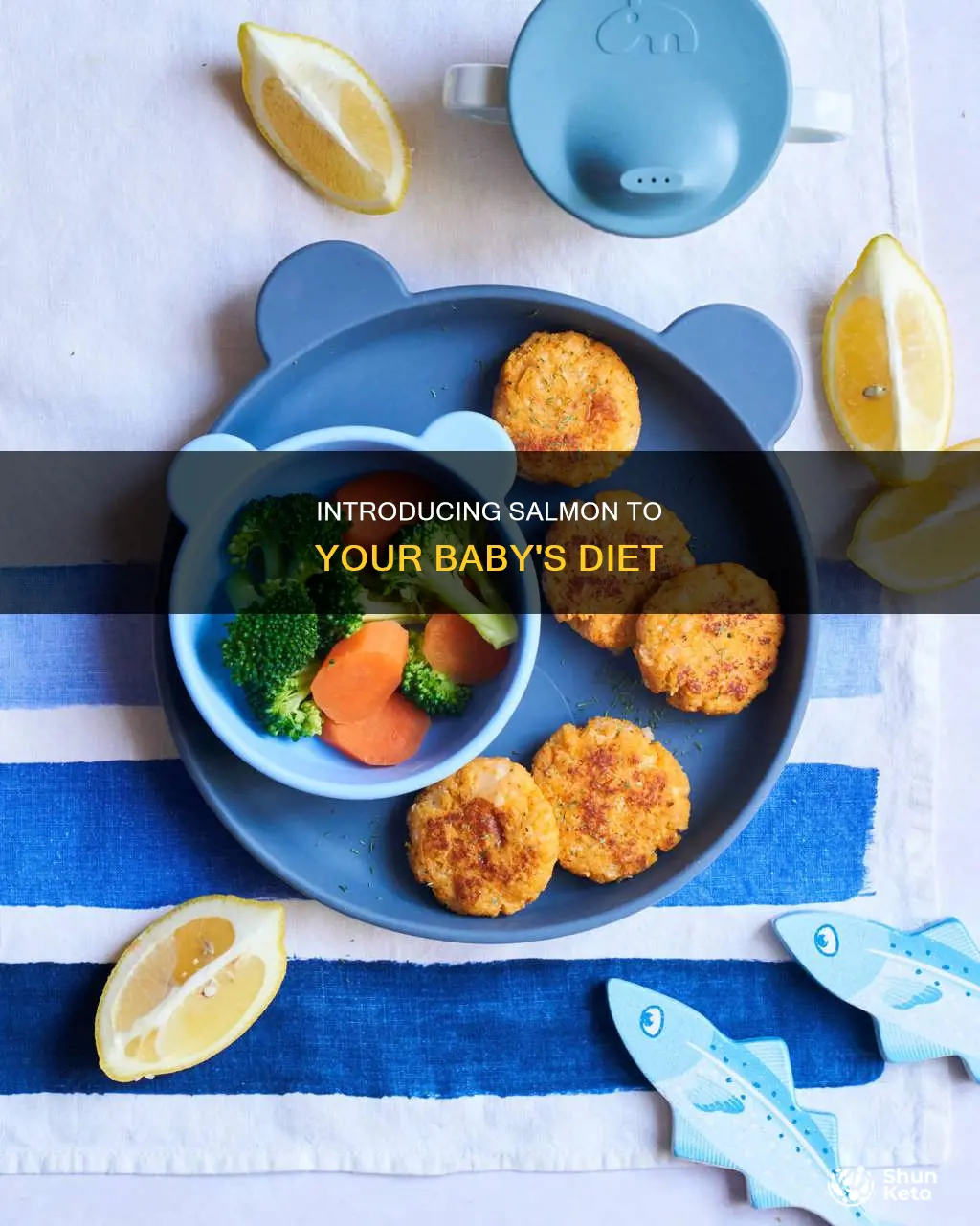 how to add salmon on baby diet