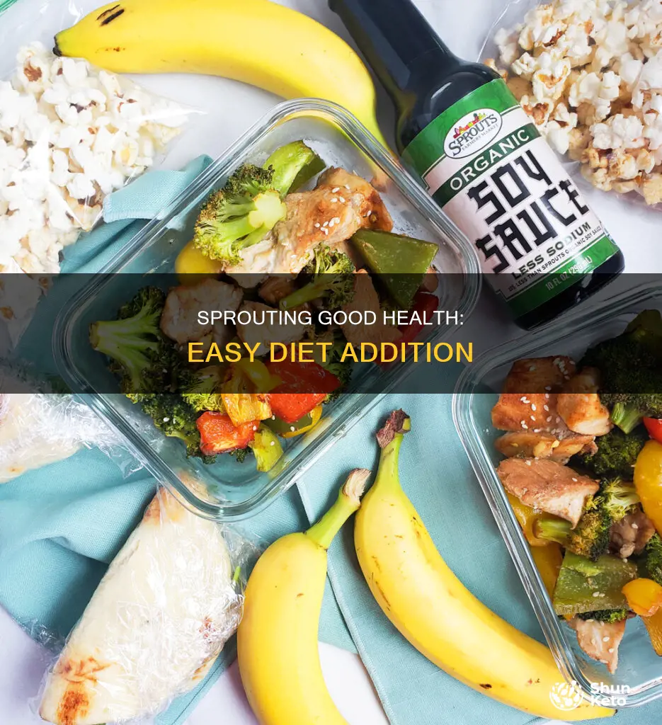 how to add sprouts to your diet