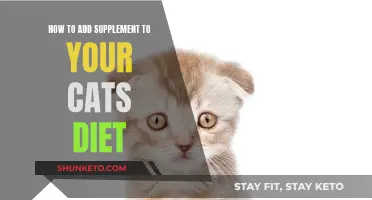 Enhancing Your Cat's Diet with Supplements