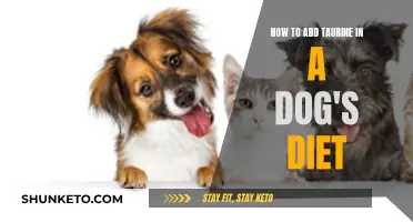 Enhancing Your Dog's Diet with Taurine