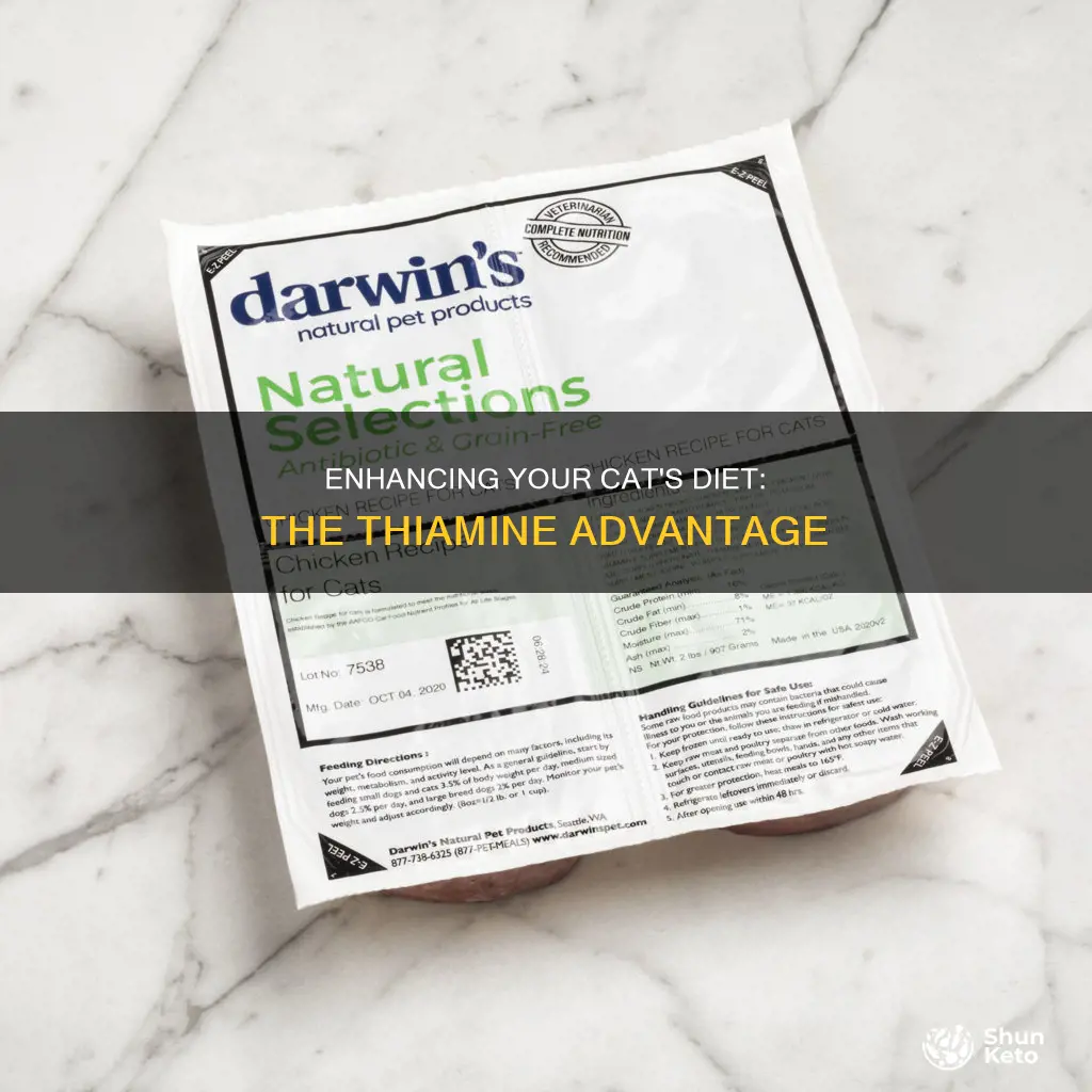 how to add thiamine to my cats diet