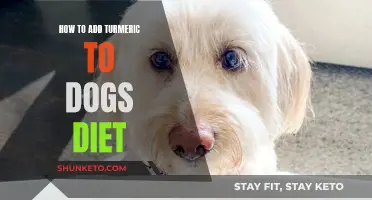 Turmeric for Dogs: Adding Spice to Your Pet's Diet
