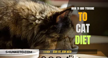 Incorporating Tyrosine in Your Cat's Diet