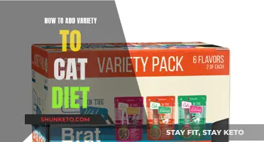 Enhance Your Cat's Diet with Variety