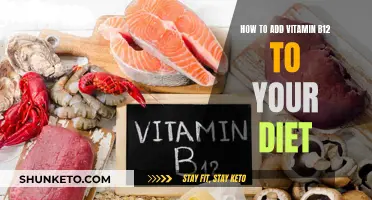 Boost Your B12: Simple Dietary Sources and Tips